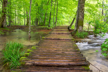 Boardwalk in the park Plitvice lakes