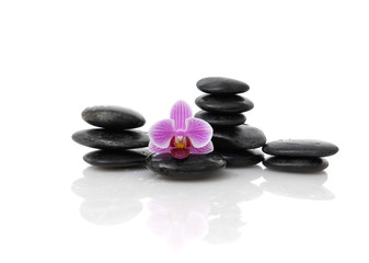 Set of beautiful pink orchid on black stacked stones
