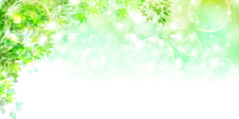 葉　新緑　背景 © J BOY