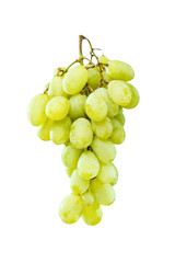 Ripe green grapes hanging against white