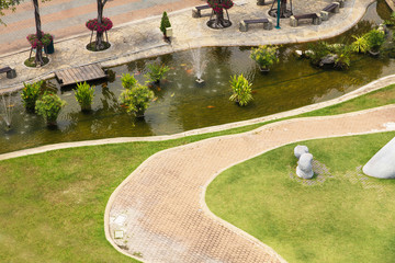 High angle view of garden