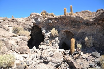 Island Inca Wasi - cactus island
