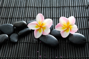 Obraz na płótnie Canvas pink frangipani with black stones on mat