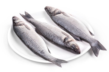 fresh seabass fish on plate