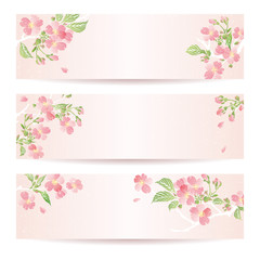 Three Spring banners with Cherry blossom with leaves sakura