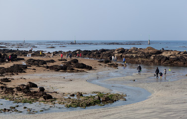 Grande marée, pêche à pied