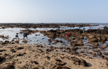 Grande mar&eacute;e, p&ecirc;che &agrave; pied