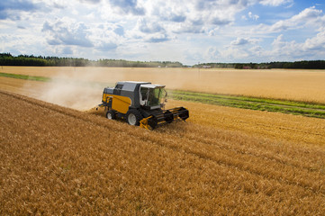 Harvesting grain aerial photo