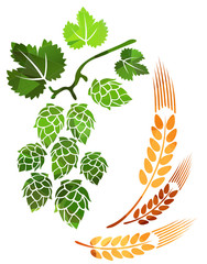 wheat ears and hop