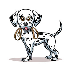 Dalmatian Puppy