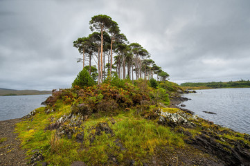 Conemara, Irlandia, krajobraz wiejski
