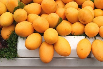 Marian plum fruit - asia fruit