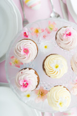 Cupcake