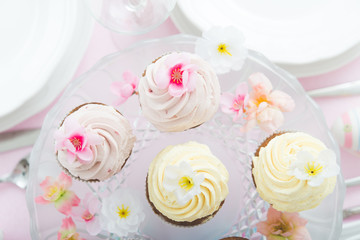 Cupcake