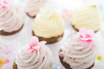 Cupcake