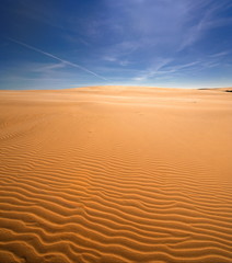 Nadmorska wydma, Morze bałtyckie , Polska