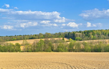 Fototapeta na wymiar Fields in spring. Moscow region, Russia