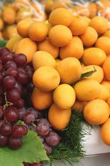 Marian plum fruit - asia fruit