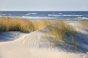 Morze Bałtyckie, plaża, Polska - obrazy, fototapety, plakaty