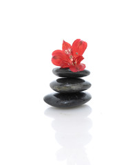 Fototapeta na wymiar Spa concept with red orchid and stacked black stone 