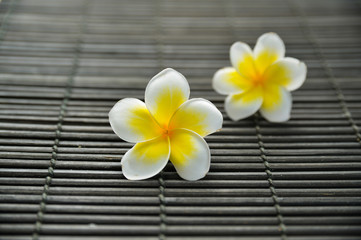 Fototapeta na wymiar Health spa setting, low light with ambient. Frangipani, on bamboo mat in vintage retro style