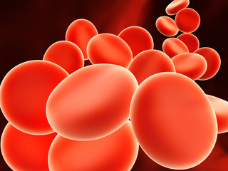 Erythrocytes