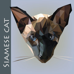 siames cat head