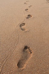 footprints in the sand