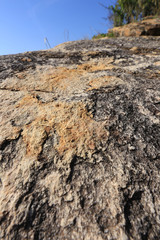 rocks