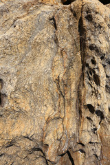 rocks