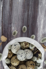 Small quail eggs wooden table dish  scattered database