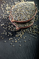 Fototapeta na wymiar Green lentils