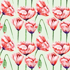 Obraz premium Eco Poppy Floral Pattern