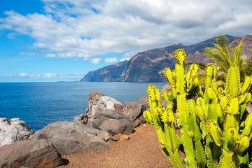 Foto op Aluminium Coastline in Puerto de Santiago. Tenerife, Spain © Andrei Nekrassov
