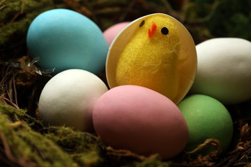 Fototapeta na wymiar decorazioni di uova per la pasqua