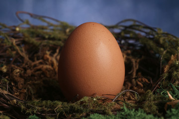 decorazioni di uova per la pasqua