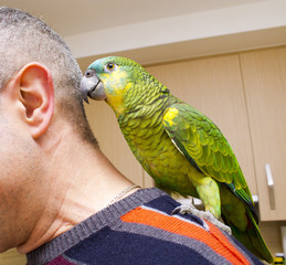 Fototapeta premium Man with parrot