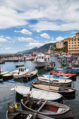 Fototapeta na wymiar Camogli Liguria
