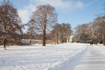 Fototapeta na wymiar Schnee im Park