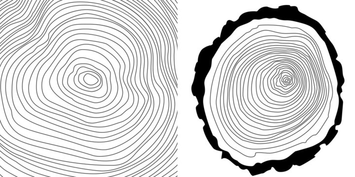 Vector tree rings background and tree log cutted