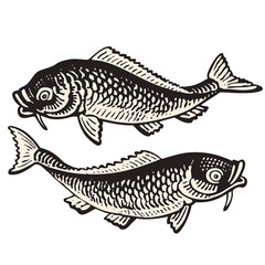 2 Poissons