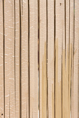 Natural color bamboo texture vertical background