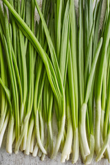 closeup of spring onions