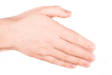 Collage of woman Hands gestures set, on white background.