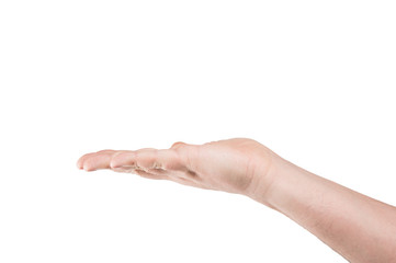 hand, palm up, isolated on white background