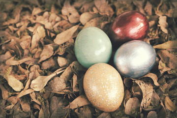 Colorful easter eggs in pile of weathered leaves.