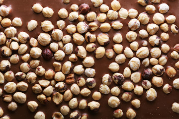 Milk chocolate bar with hazelnuts close up
