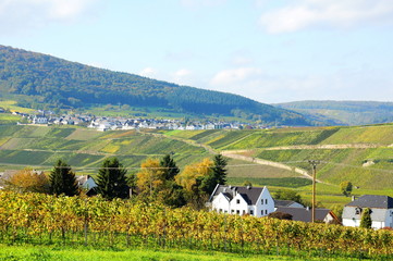 Osann Monzel in der Ferne