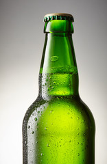 Green bottle of beer close-up
