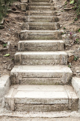 Stone stairs in the green park surrounded by beautiful flowers